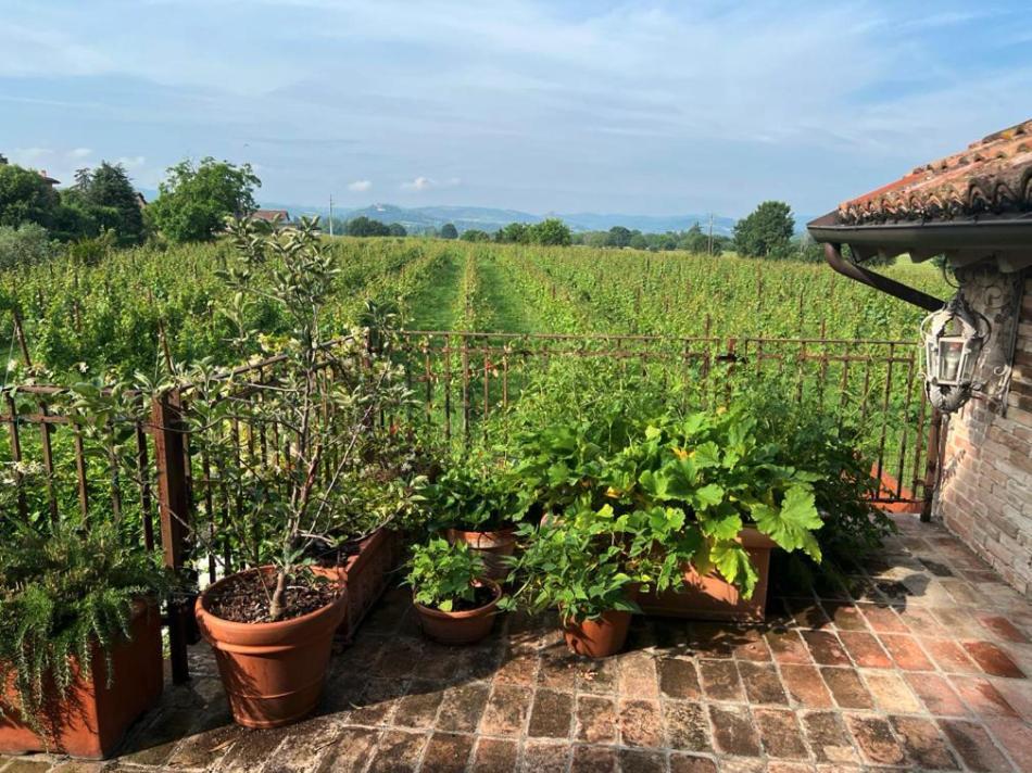 Casale Hortensia Reggio Emilia Exteriér fotografie